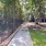 walking path through property with trees