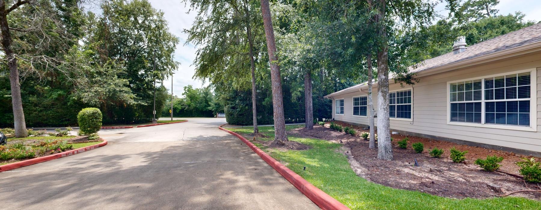 tree lined driveway at The Auberge at The Woodlands